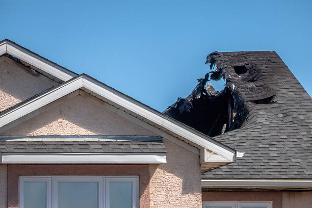 Top rated local Board Up Services specialists in Monticello, WI